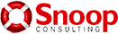 Snoop Consulting